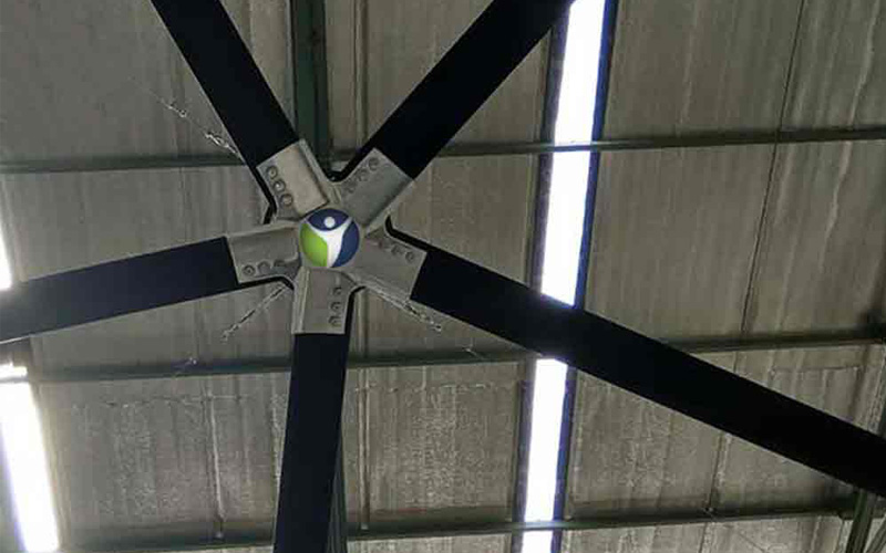 Large Ceiling Fan Suppliers